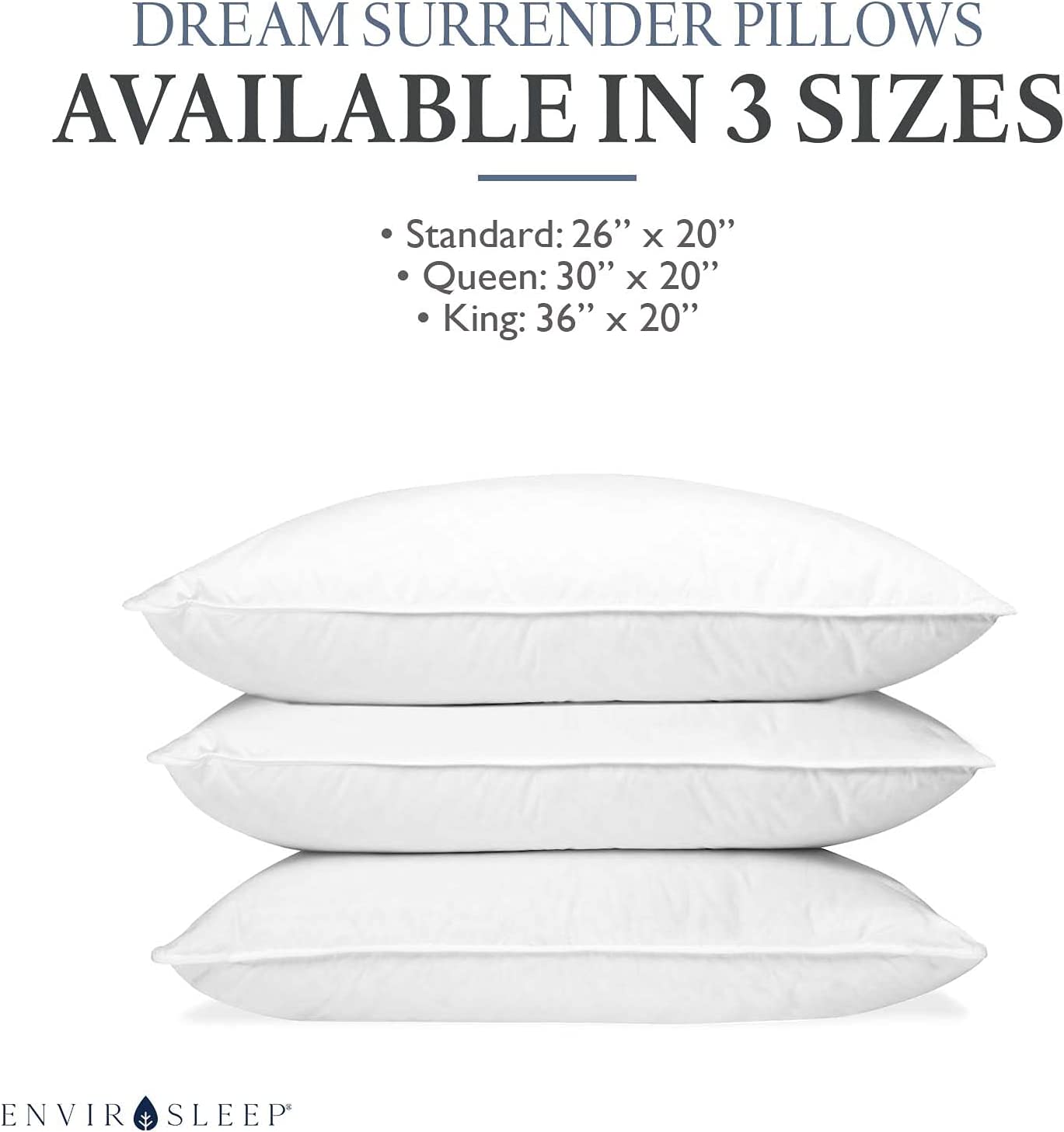 Envirosleep Dream Surrender King 2 Pillows Found at Hampton Inn