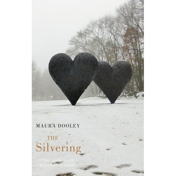 The Silvering (Paperback)