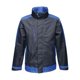 thumbnail image 1 of Regatta - Chaqueta Softshell Contraste para Hombre (Marino, Azul Real) Regatta UTRG4073_navynewroyalblue, 1 of 1