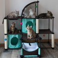 thumbnail image 3 of Kitty City Lit pour Chat en Acier, 3 of 5