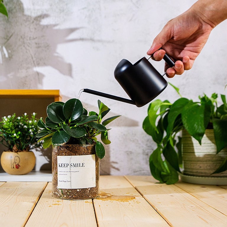 Taotanxi Tiny Watering Can for Indoor Plants Bonsai Tree Stainless Steel  Small Watering Can Succulents, 17.59Oz/500Ml,Black - Walmart.com