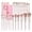 Pink, variant on 30 Pcs Professional Makeup Brushes with Case, Premium Synthetic Face Foundation Powder Blush Eyeshadow Blending Eye Brush Set Travel Makeup Brushes Set(Champagne)