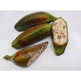 thumbnail image 5 of 5 PLANTAIN BANANA Musa Balbisiana Hardy Red Flowering Sweet Wild Fruit Tree Seeds, 5 of 6