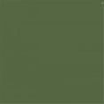 thumbnail image 1 of Mission Models MIOMMP-029 Bouteille de Peinture Acrylique Modèle 1 oz, Olive Foncé Russe 2, 1 of 1