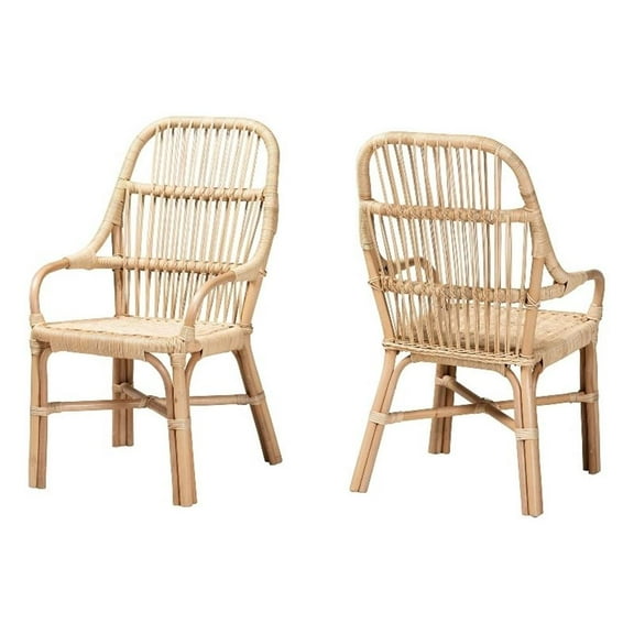 Bowery Hill Modern Bohemian Natural Brown Rattan Dining Chair