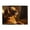 500 Pieces, variant on 1000-Piece Wooden Jigsaw Puzzle for Adults & Families - Golden Fur Chair Comfort , Fun & Educational Brain-Teasing Game, Artistic Home Decor