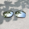 thumbnail image 4 of Walleva Titanium Polarized Replacement Lenses for Oakley Big Taco Sunglasses, 4 of 7