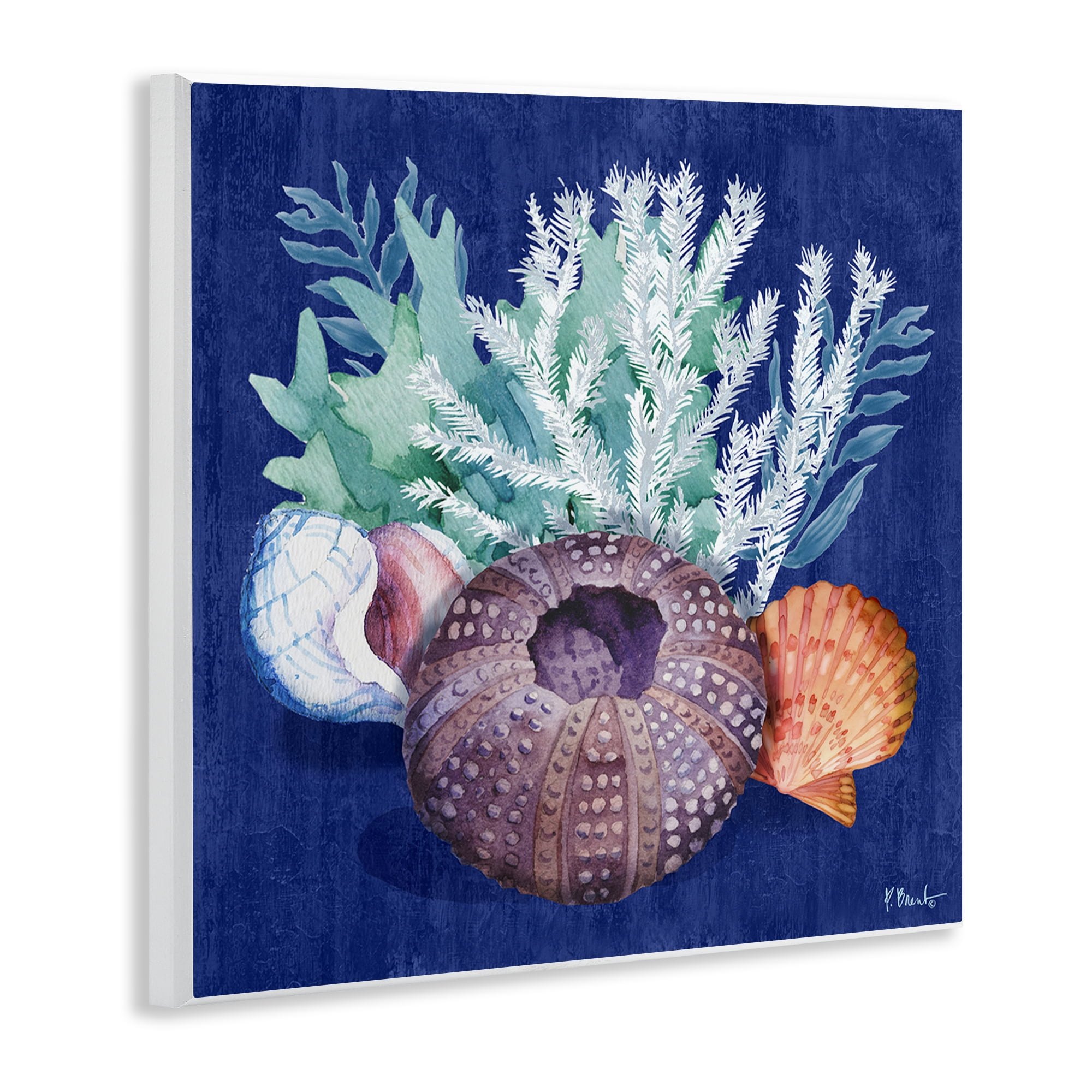 Stupell Industries Urchin Sea Life Coastal Painting Unframed Art Print Wall Art, 12 x 12