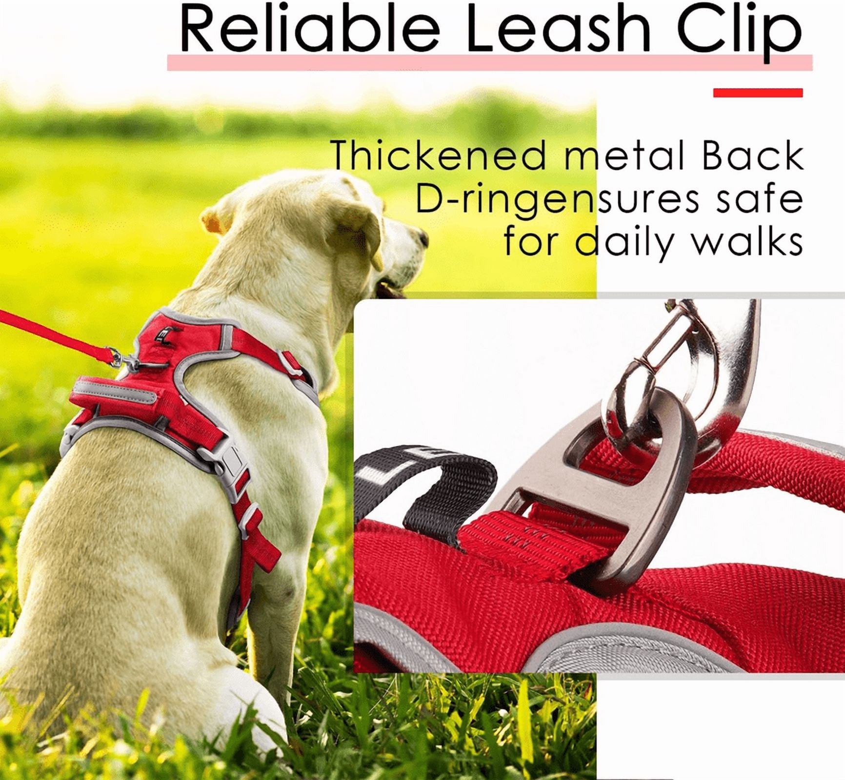 ThinkPet No Pull Harness Set Breathable Sport Harness with Handle - Reflective Padded Dog Safety Vest with Reflective Neon Dog Leash