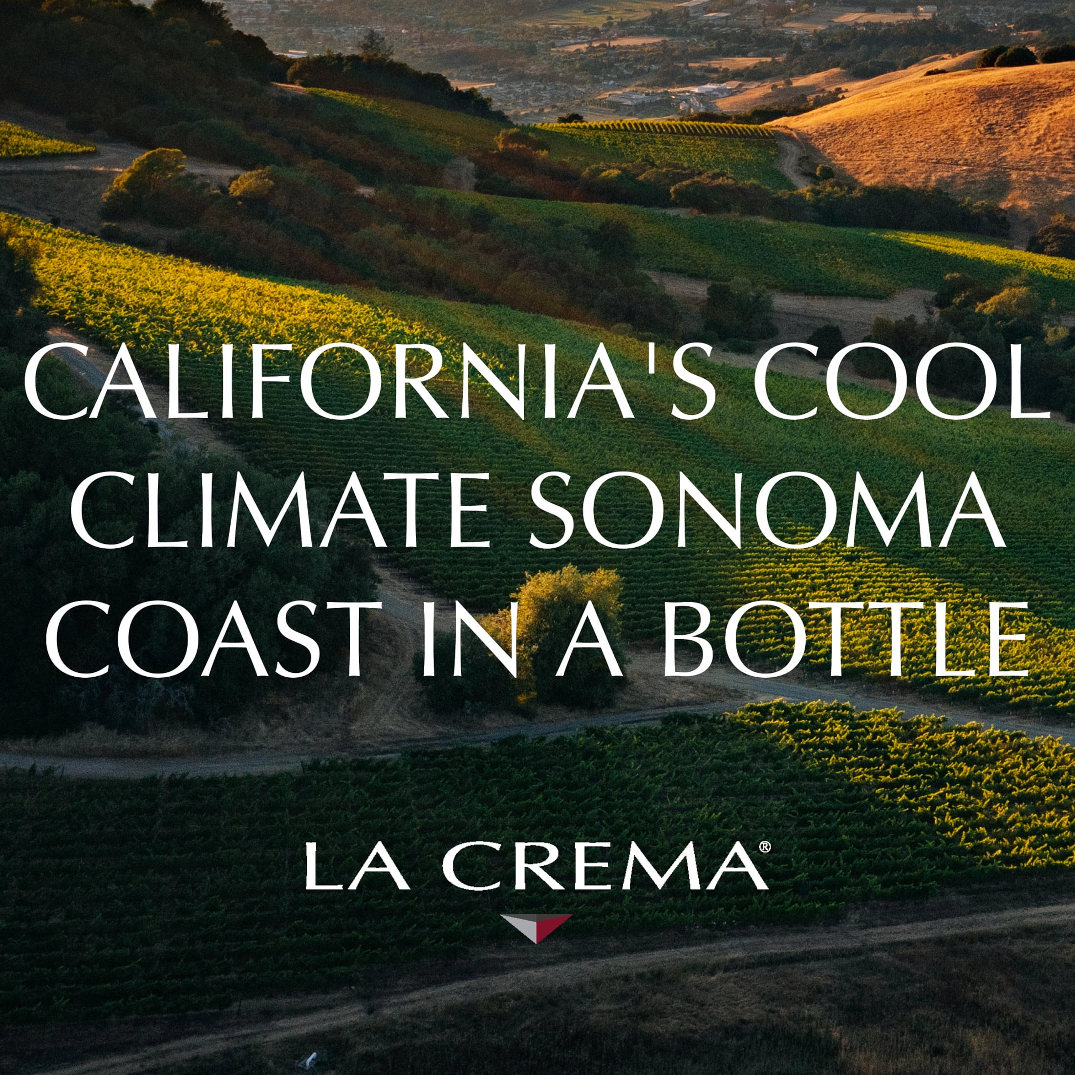 La Crema Pinot Noir Wine, 750 ml, Bottle
