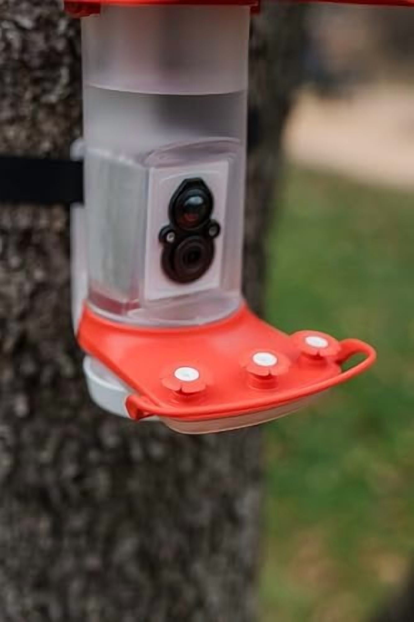 FeatherSnap Smart Hummingbird Feeder with HD Camera  WiFi Solar Bird Feeder, Motion Sensor, App Alerts, Live Video, Photo Capture  1L Capacity, Seed Mix & Cleaning Cloth Included