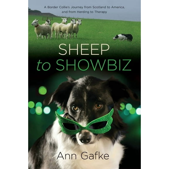 Sheep to Showbiz: A Border Collie's Journey from Scotland to America, and from Herding to Therapy, (Paperback)