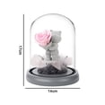 thumbnail image 2 of Oso de confesión de rosa de flores preservadas en cúpula de cristal, regalo para el día de San Valentín, día de la madre, cumpleaños, 2 of 5