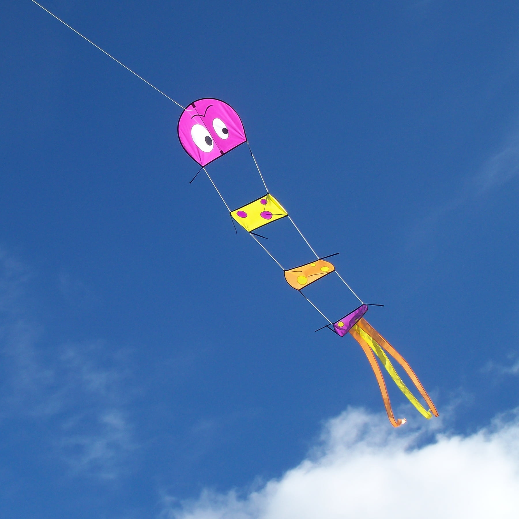 In the Breeze 3131 — Caterpillar Kite — Fun Multi-Section Big Single-Line Kite for All Ages