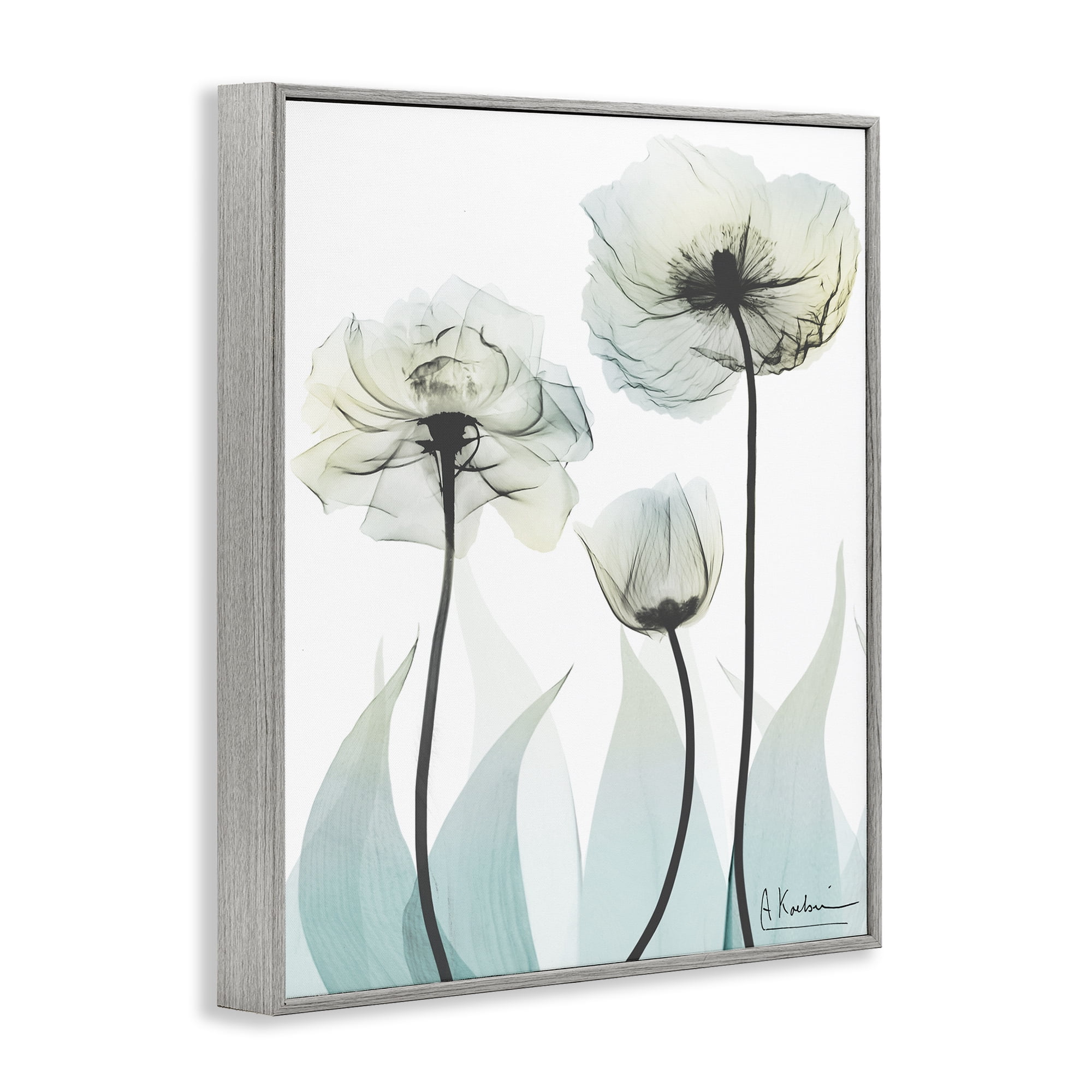Stupell Industries Luxury Of Creation Gray Framed Giclee Art, design by Albert Koetsier