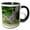 Black/White, variant on 3drose, South Africa, Game Reserve, African White Rhino-af42 Cmi0167 - Cindy Miller Hopkins, 11oz Two-tone Green Mug