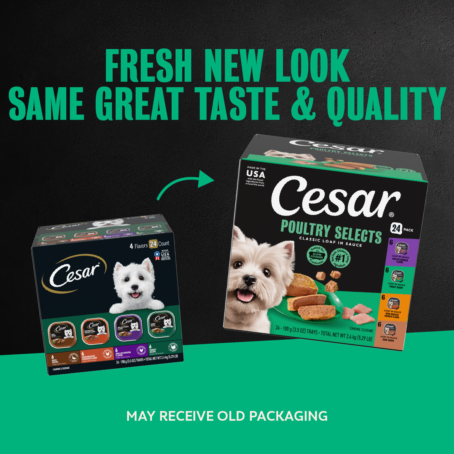 Cesar Loaf in Sauce Poultry Flavors Wet Dog Food Variety Pack, 24 Ct photo 7