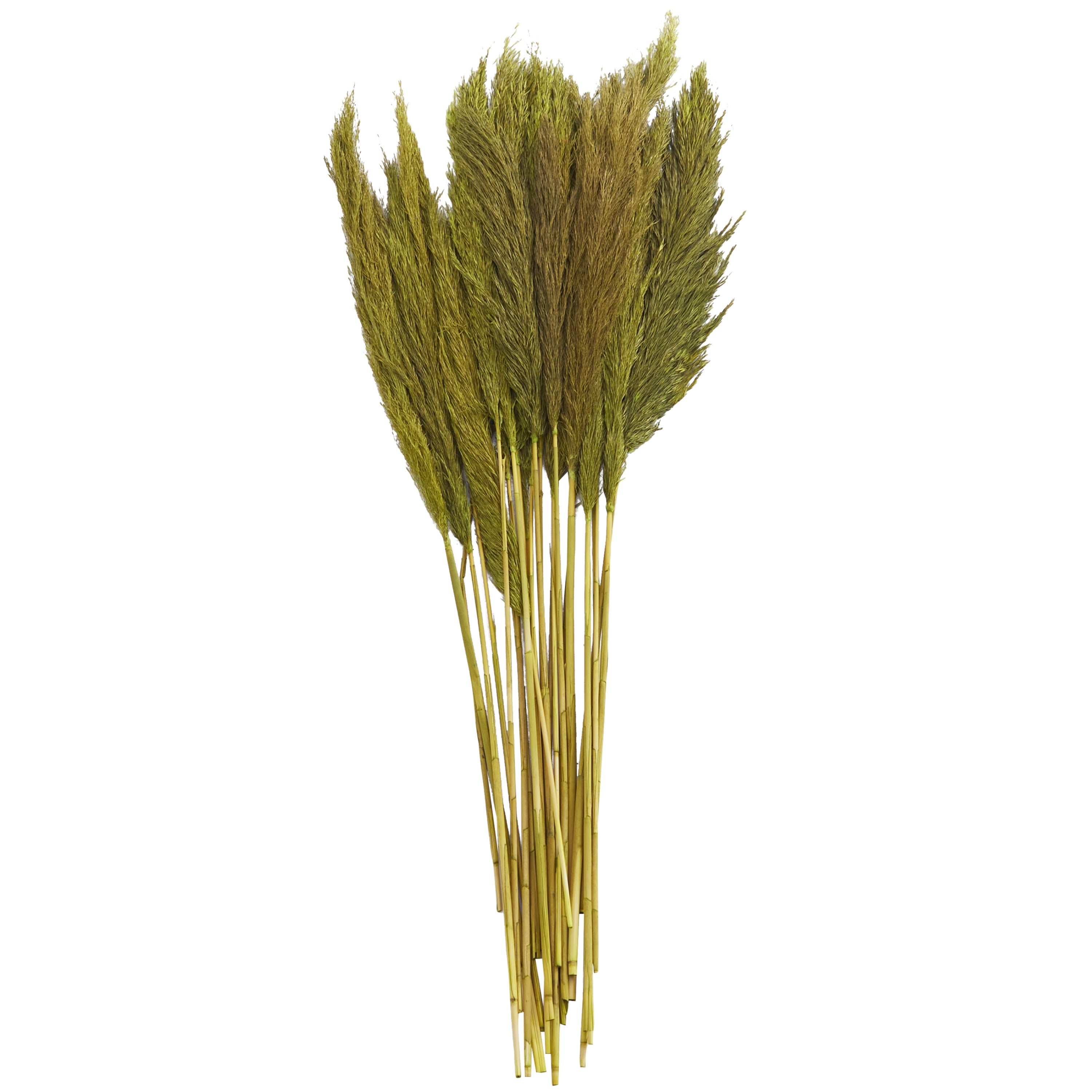 35" Dried Plant Natural Foliage Pampas Bouquet with Long Stems, by DecMode
