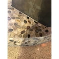 thumbnail image 3 of FUSTONE Decorative Tiles Interlocking Pebble Tiles Natrual River Rock Stone Tile(10-Sheets) Kitchen Floor Bathroom Patio for Indoor and Outdoor Use Stones PT104-10, 3 of 4