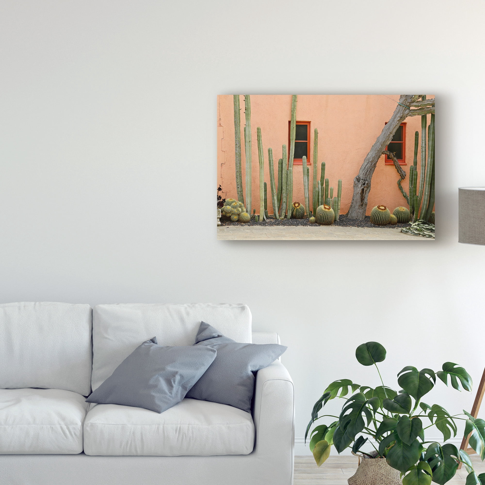 Trademark Fine Art Floral Canvas Art ' Adobe Cact2 ' by School