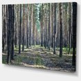 thumbnail image 2 of Forest Road in Thick Woods - Modern Forest Canvas Art, 2 of 4