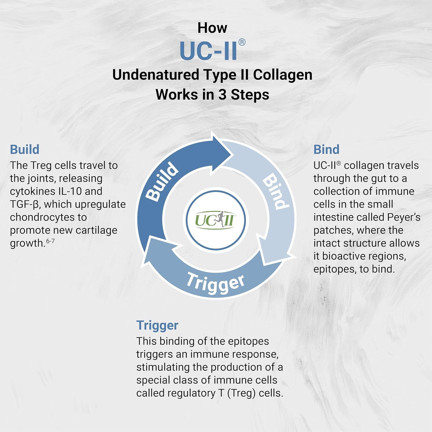 Naturalis UC-II 40 mg with Hyaluronic Acid | Enhanced Undenatured Type II Collagen for Better Joint Health | 120 Softgels