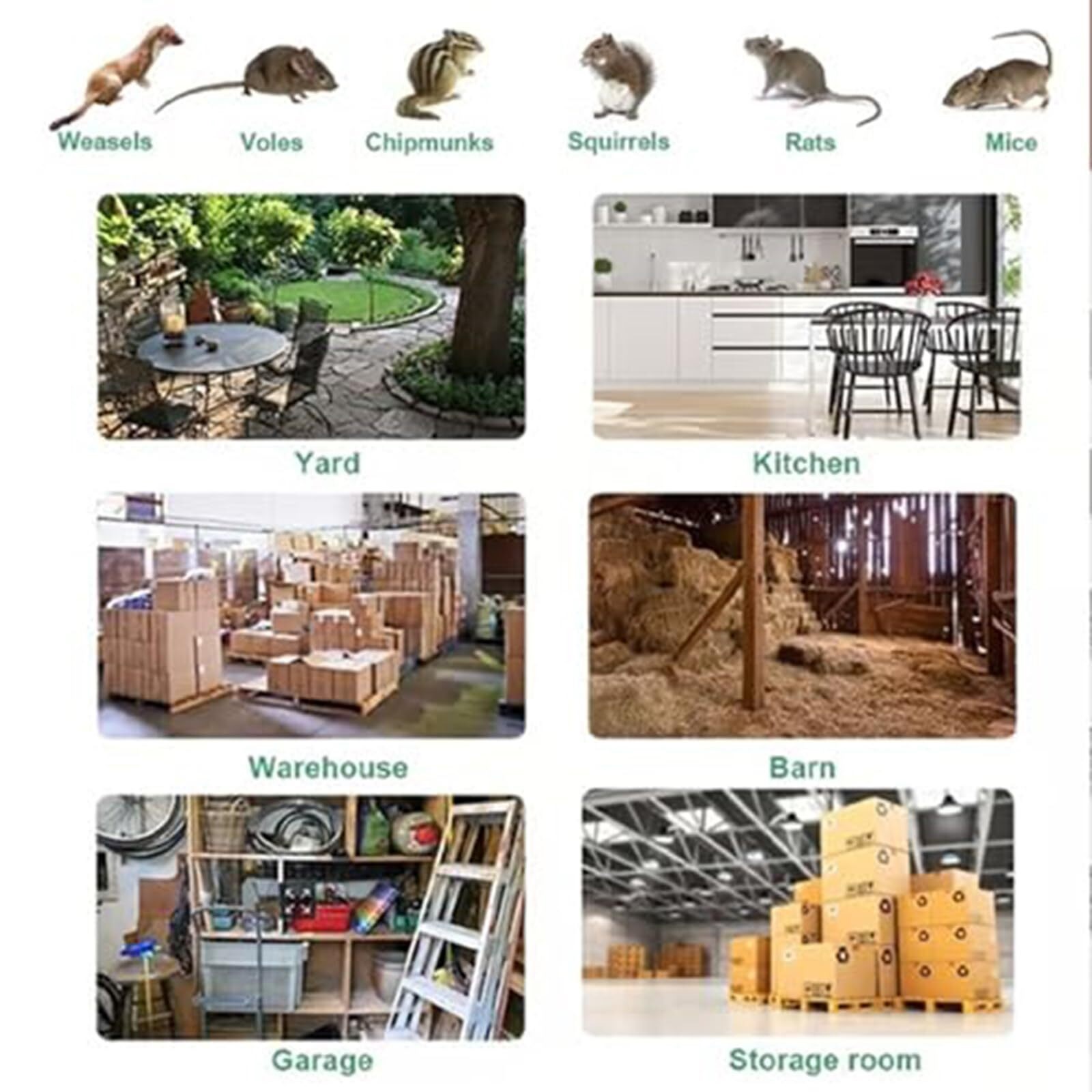 SXlianshun-Stainless Steel Automatic Mousetrap,Mouse Trap, Automatic Mouse Trap, Easy to Set Mice Catcher for Indoor and Outdoor