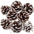 thumbnail image 1 of Piñas de pino naturales ZHAOCHENG 12 piezas decoración de Navidad 4-5 cm, 1 of 5