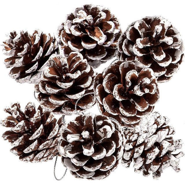 Piñas de pino naturales ZHAOCHENG 12 piezas decoración de Navidad 4-5 cm