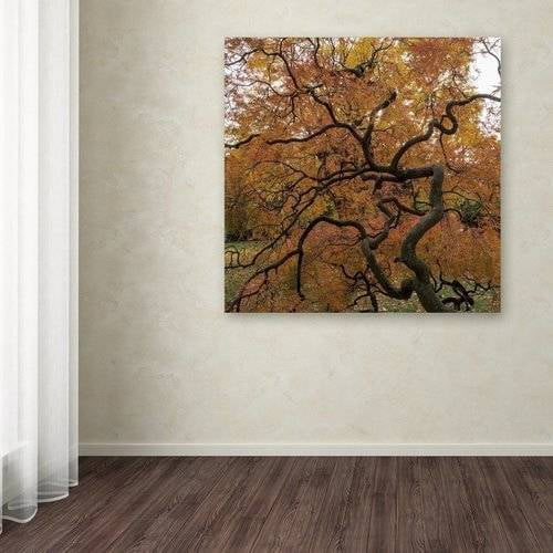 Trademark Fine Art "October Japanese Maple" Canvas Art by Kurt Shaffer