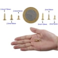 thumbnail image 3 of 1200PCS Pequeño tornillo de cabeza plana cruzada Tornillo autorroscante Gabinete Puerta Bisagras Bisagras, DIY Tornillo multifuncional Accesorios electrónicos Juego de micro tornillos Oro Fokelyi YQ-0372, 3 of 5