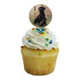 thumbnail image 5 of Black Labrador Retriever Dog Puppy Cupcake Picks Toppers Decoration Set of 6, 5 of 7