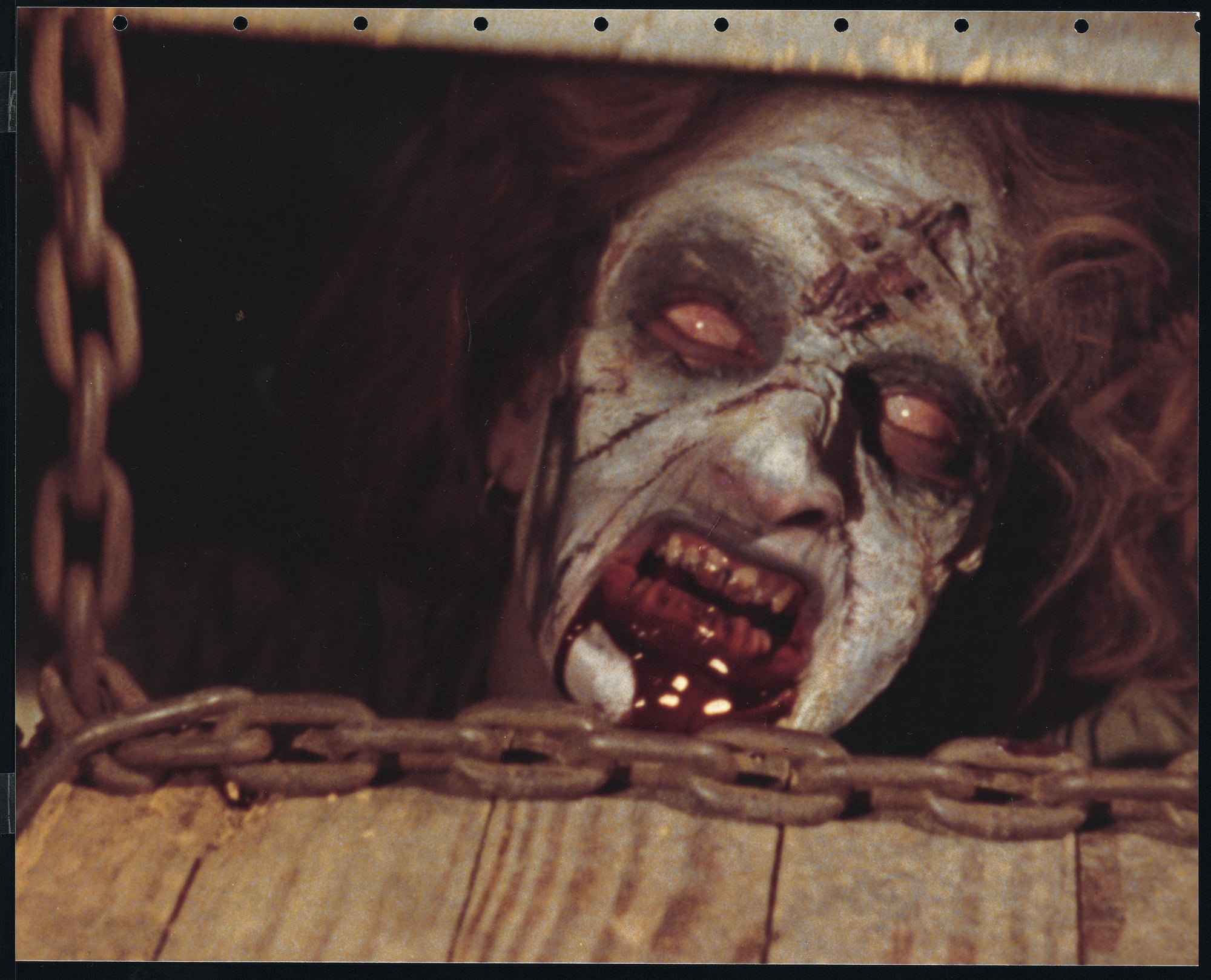 The Evil Dead (Steelbook) (4K Ultra HD + Blu-ray +Digital Copy) Sony Pictures, Horror