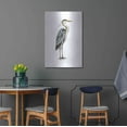 thumbnail image 4 of Luxe Metal Art 'Sea Bird V' by Grace Popp, Metal Wall Art, 24"x36", 4 of 9