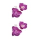 thumbnail image 4 of Cateissary 50 unids/set atmósfera con decoraciones artificiales cabezas de orquídeas elegantes pétalos de orquídeas artificiales púrpura rojo rojo púrpura 2Conjunto, 4 of 6