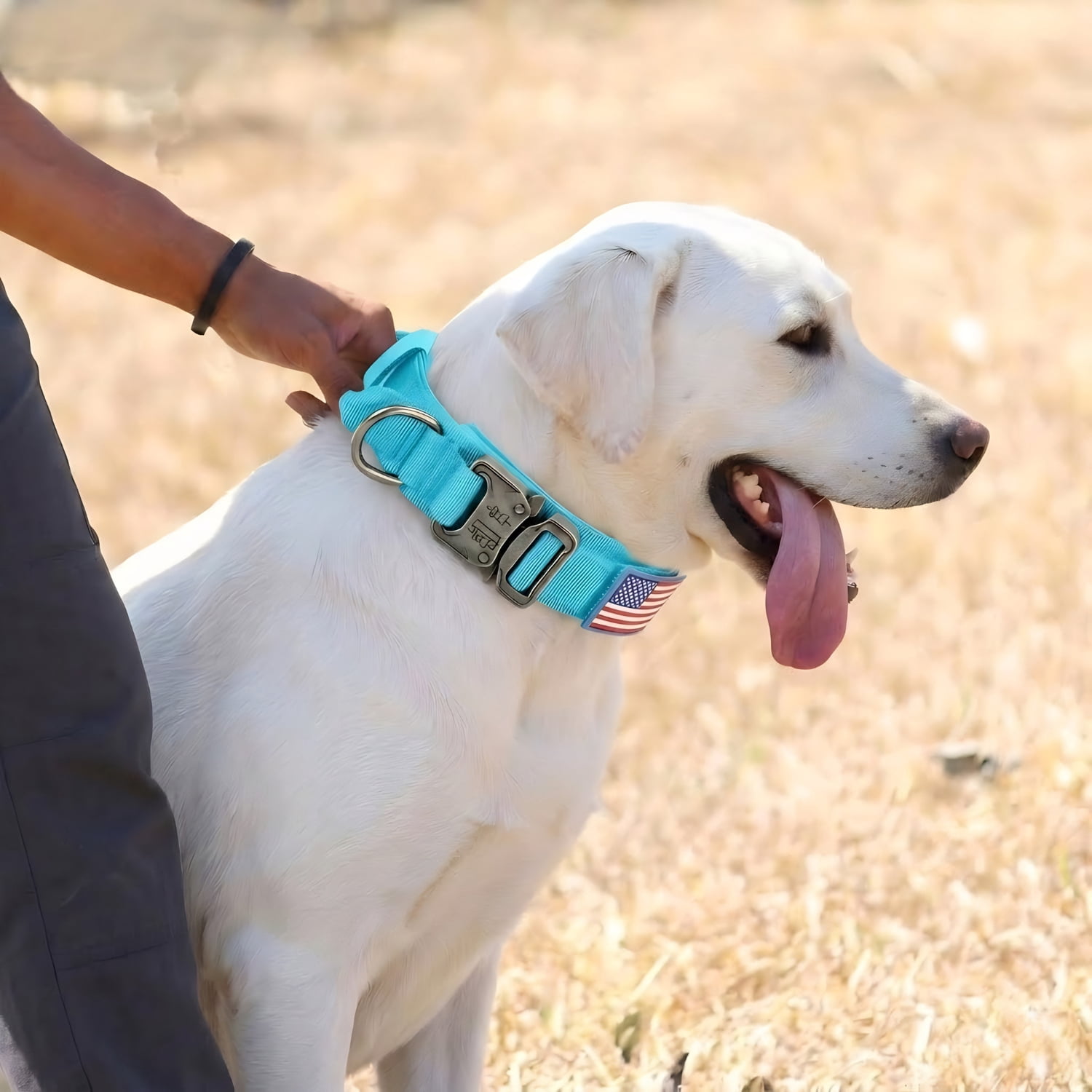 WAAYEEPAL Heavy Duty Nylon Dog Collar, Adjustable Training Collar with Control Handle, Sturdy Metal Buckle and AirTag Holder for Medium and Large Dogs (M, Blue)