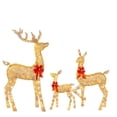 thumbnail image 1 of Lighthouse Deer Family Set Outdoor Christmas Decorations Christmas Lights Reindeer Christmas Decorations Christmas Lights Deer Set for Indoor Outdoor Lawn Decorations, 1 of 5