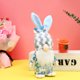 thumbnail image 1 of Fiudx Ofertas Y Liquidación Decoración De Pascua, Lindo Conejo De Peluche, Muñeco Enano Sin Rostro, Juguete, 1 of 3