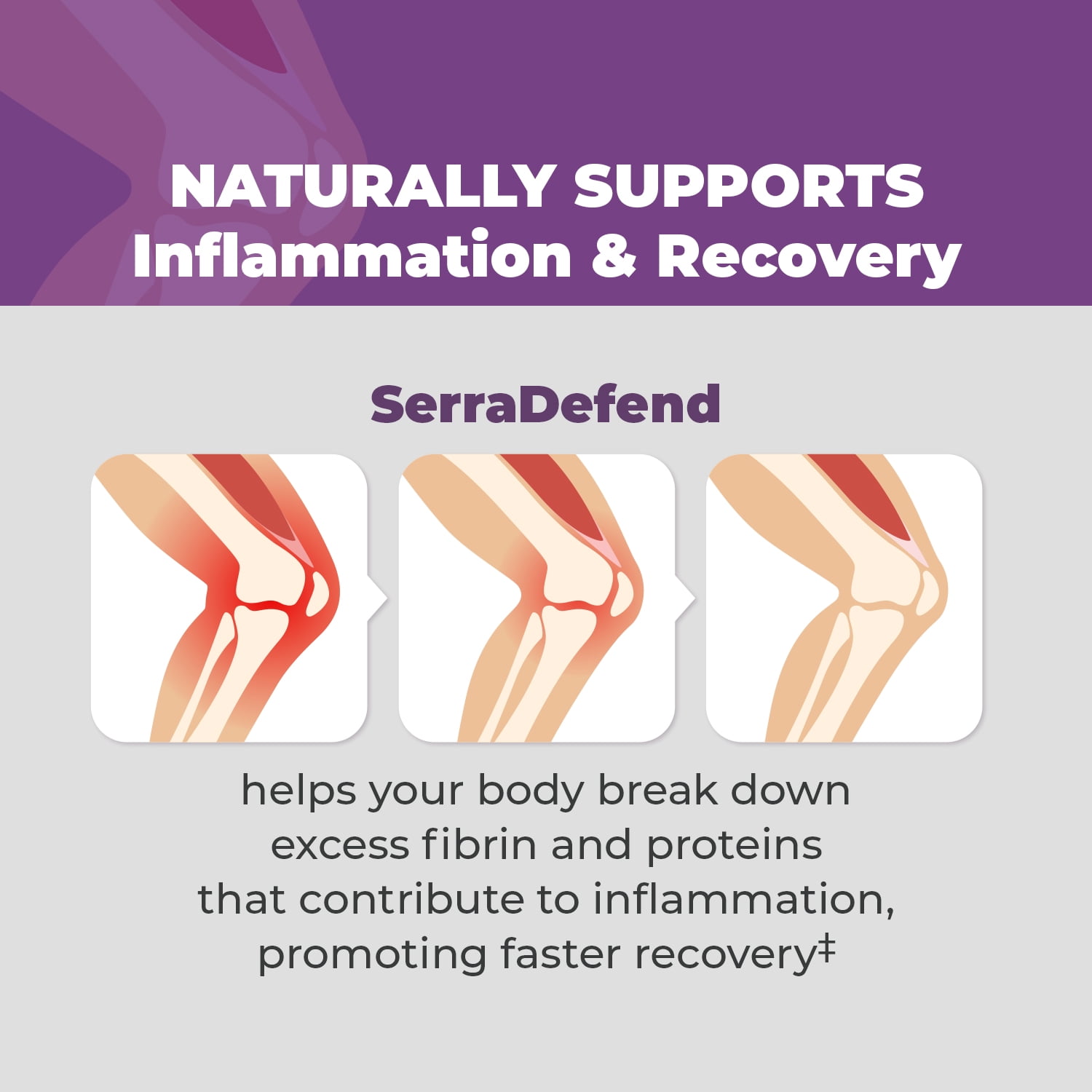 Balance ONE Biofilm Defense with Proteolytic & Digestive Enzymes - 2 Month Supply