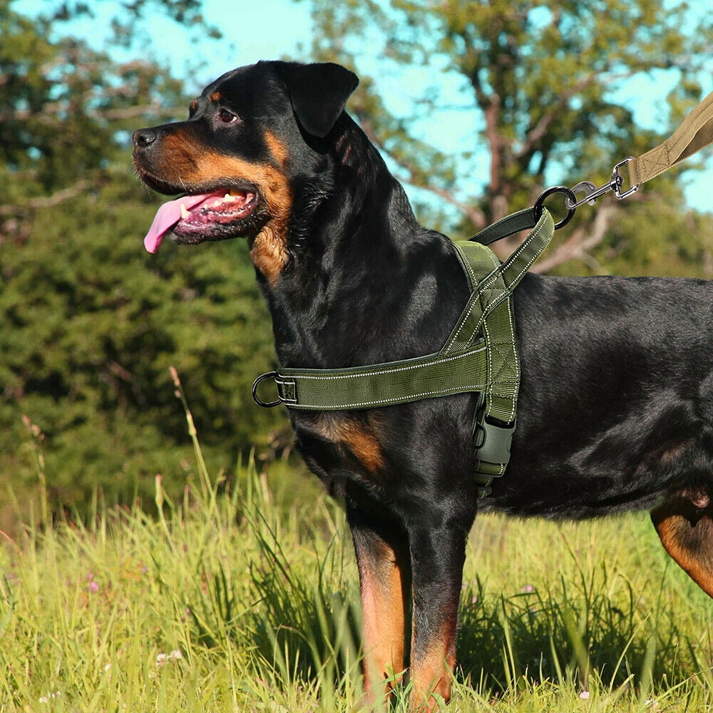 Didog Nylon No Pull Pet Dog Harness Reflective Front Clip Pet Walking Vest with Handle Black/Hot Pink/Brown/Green  For Medium Large Dogs