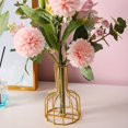 thumbnail image 4 of PENGXIANG Simple Golden Glass Vase Iron Geometric Glass Test Tube Flower Vase for Home Kitchen Office, 4 of 6