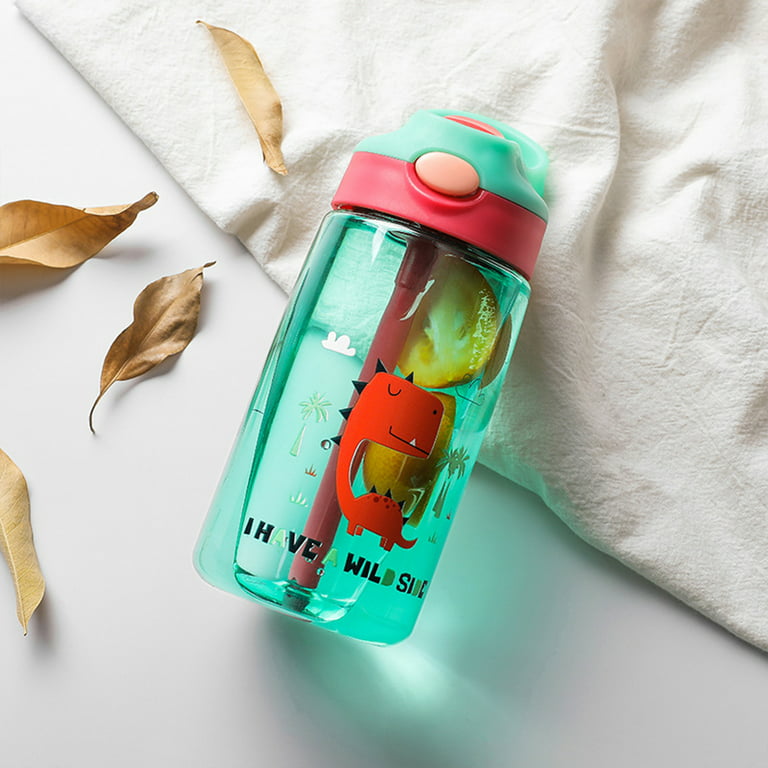 Personalized Children's Insulated Water Bottle, Straw Cap in Two Colors to  Choose From, 400ml, Dinosaur Skater Model -  Finland