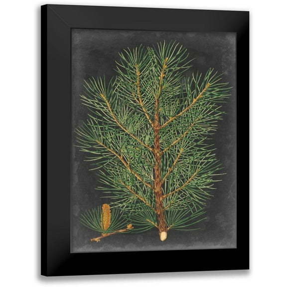 Vision Studio 12x14 Black Modern Framed Museum Art Print Titled - Dramatic Pine II