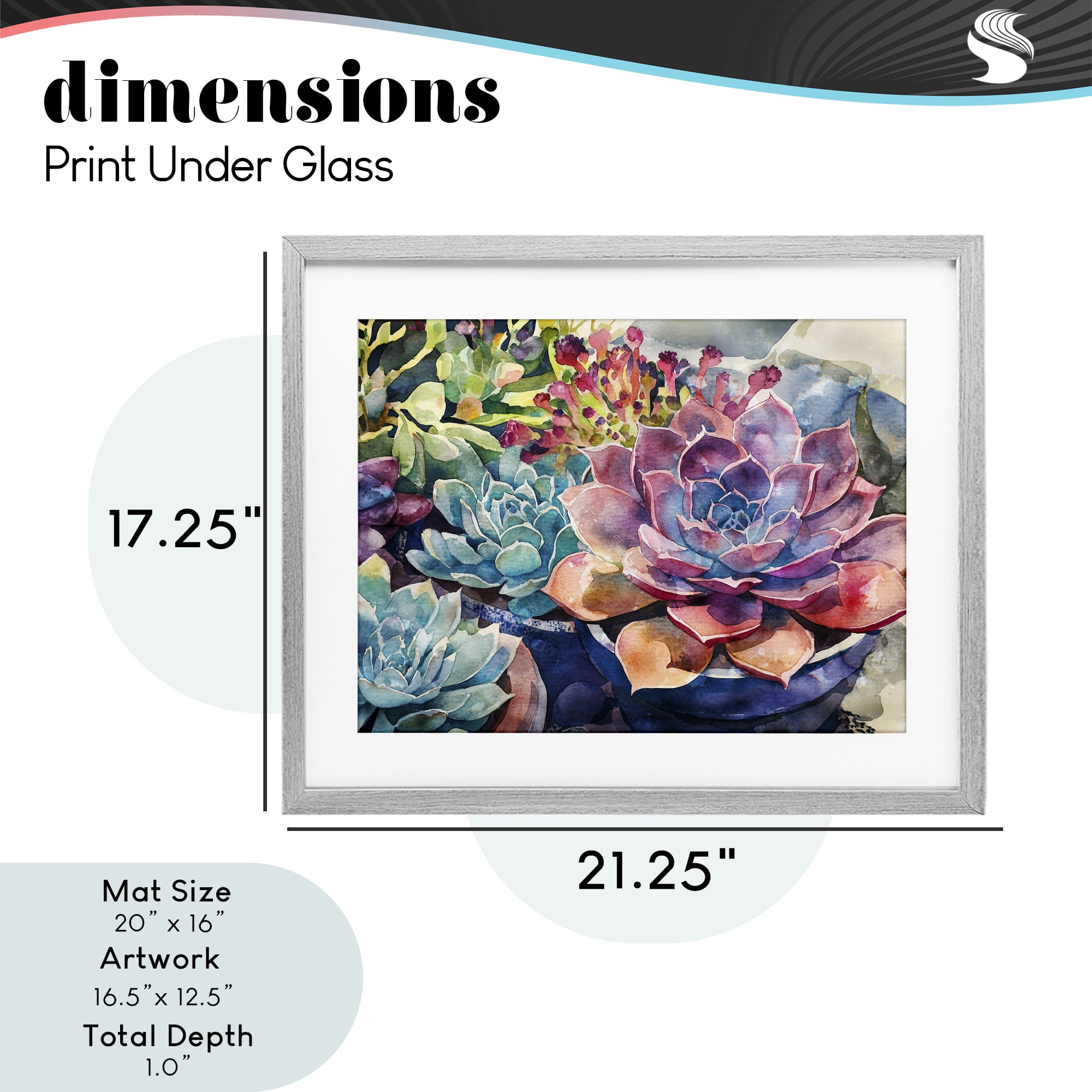 Stupell Industries Sun Kissed Succulents Gray Framed Print Under Glass, design by Svetlana Aleynikova