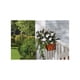 thumbnail image 2 of Soporte para plantas LIVING ACCENTS de acero negro ajustable, paquete de 1, 2 of 2