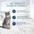 thumbnail image 6 of Blue Buffalo Tastefuls Sensitive Stomach Chicken Recipe Adult Dry Cat Food, 5 lb Bag (Pack of 12), 6 of 9