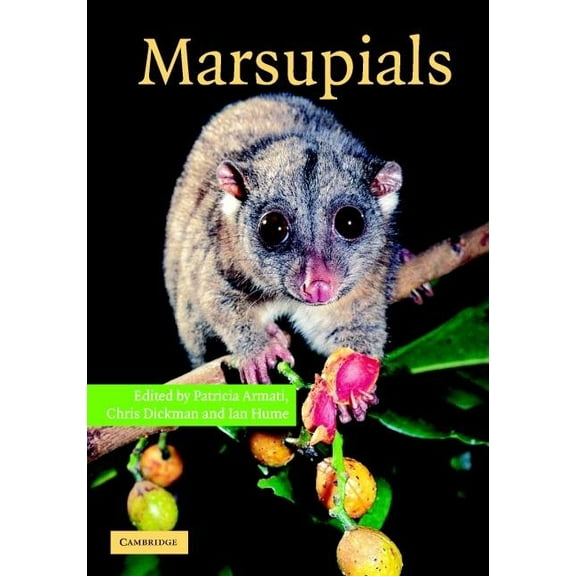 Marsupials, (Hardcover)