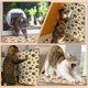 thumbnail image 4 of 2 alfombrillas rascadoras para gatos, 23.6 x 15.7 pulgadas, sisal natural, patrón de patas, con cinta autoadhesiva, para interiores, gatos, protector de muebles de sofá, alfombras, 4 of 6