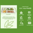 thumbnail image 3 of EcoNesxp 6 Inch Disposable School Lunch Tray Grid Plates 12 100 Compostable, 3 of 5