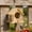 Beige, variant on Wooden Bird House With Colorful Roof For Hanging Or Wall Mounting Outdoor Bird Feeder And Garden Decor 1 Count